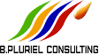 B. Pluriel Consulting